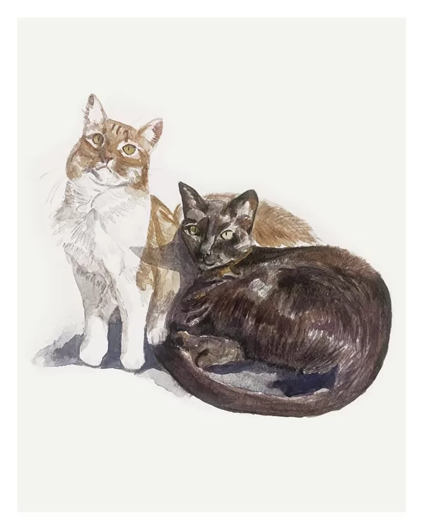 Enzo y Lola